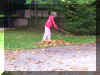 y3.jpg (47785 bytes)